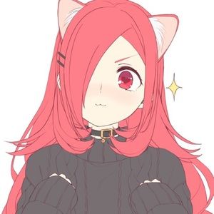 Meet your Posher, Heidi